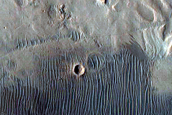 Monitor Scarp on Floor of Ritchey Crater