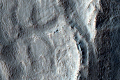 Tongue-Shaped Flows and Gullies in Terra Cimmeria