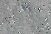 Elysium Planitia Secondary Crater Scours