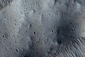 Resistant Material in Olympus Mons Aureole Ridges