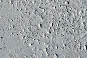 Lava-Crater Interaction in Elysium Planitia