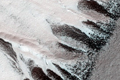 Monitoring Gullies in Polar Pits