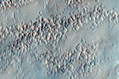 Curvilinear Ridges Arranged in Fan Shape