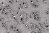 Monitoring Rugged Terrain