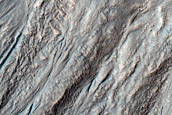Gully Monitoring