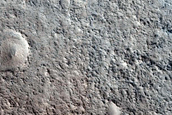Sinuous Features in Moreux Crater