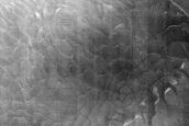 Dune Monitoring in Crater