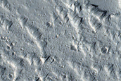 Monitoring New Impact Site