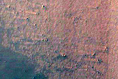 Confined Dune with Seasonal Activity