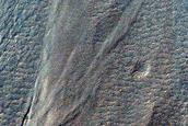 Gully Monitoring