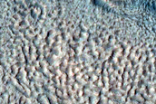 Gully Monitoring