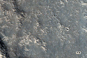 Elysium Planitia