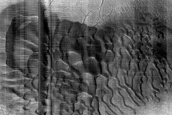 Dune Monitoring in Crater