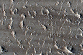 Daedalia Planum Albedo Variations
