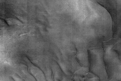 Dune Monitoring in Milankovic Crater