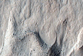 Gully Monitoring and Topography