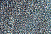 Gully Monitoring