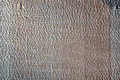 Candidate Recent Impact Site