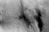 Dune Monitoring in Lyot Crater