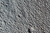 Tempe Terra