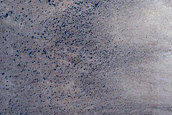Slope Streaks in Amazonis Planitia