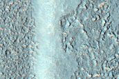 Streamlined Forms in Coracis Fossae