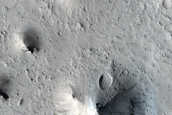 Crater in Southern Elysium Planitia with Hummocky Fill