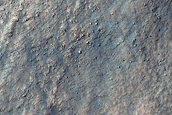 Dark Streak Monitoring in Southwest Argyre Region