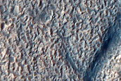 Channel in Newton Crater
