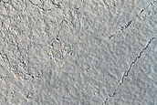 Elysium Planitia
