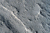 Field of Ridges near Apollinaris Sulci