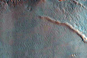 Pole-Facing Gullies in 7-Kilometer Crater within Bond Crater