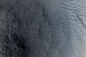 Lucus Planum