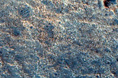 Candidate Landing Site for 2020 Mission