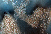 Dune Monitoring in Renaudot Crater