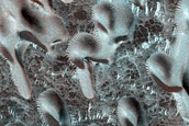 Dune Monitoring in Crater