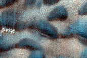 Dune Monitoring in Crater