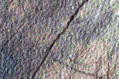 Gully Monitoring