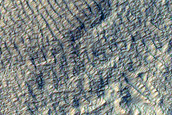 Scarp Monitoring