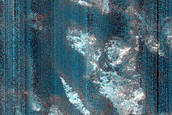Dune Monitoring in Bonestell Crater