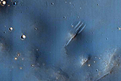 Southern Mid-Latitude Terrain
