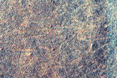 South Polar Region