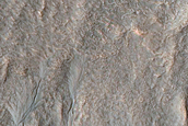 Gully Monitoring