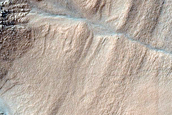 Gully Monitoring