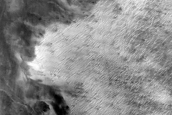 South Polar Region Cryptic Terrain Margin Monitoring in Reynolds Crater