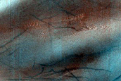 Dune Monitoring in Moreux Crater