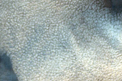 USGS Dune Database Entry Number 0107-650
