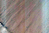 Layers