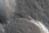 Regolith Textures in Olympus Mons