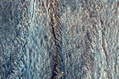 Gully Monitoring